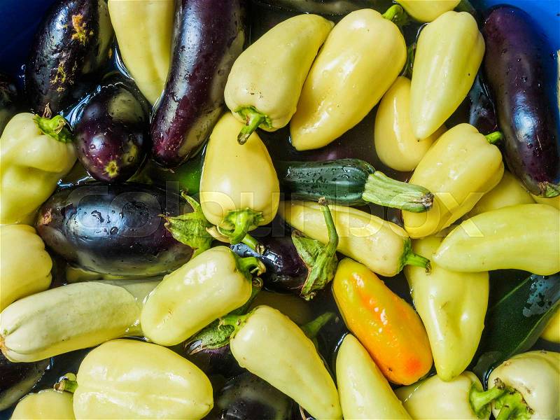 Light green pepper, green zucchini and eggplant, dark blue. Vegetables floating in the water, photographed from the top. Large group of fresh vegetables top view, stock photo