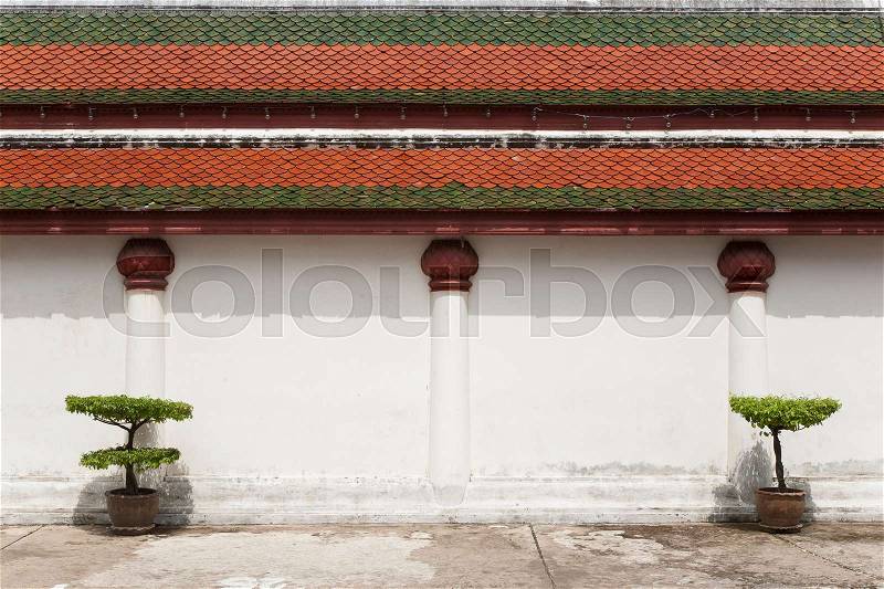 Straight view of white temple wall section and its roof with couple of potted plates to create semetricall design, bright sunny day with casting shadows, stock photo