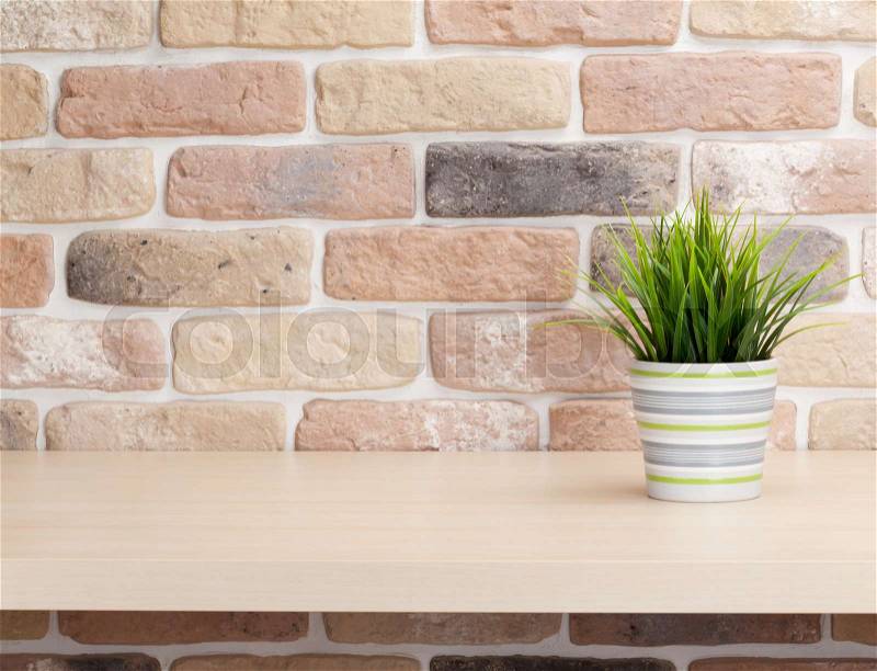 Potted plant on shelf in front of brick wall. View with copy space, stock photo