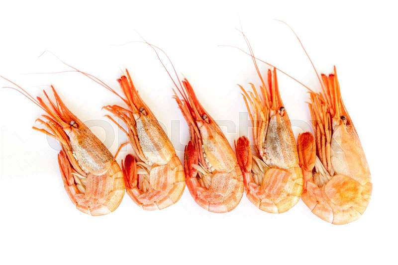 Shrimp isolated on white background, stock photo