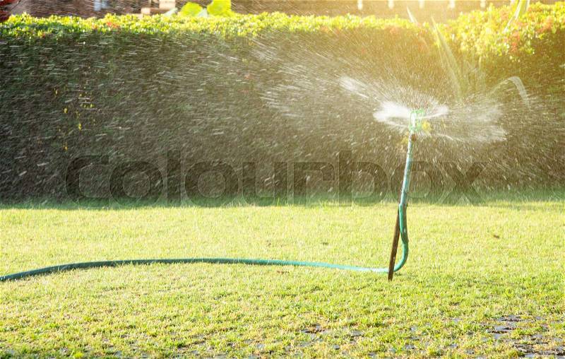 Sprinkler watering in the garden with sun light , stock photo