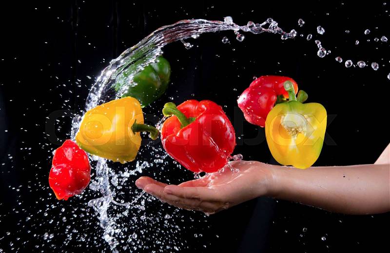 Bell peppers peppers and hand with splash isolated on black background, motion action, stock photo