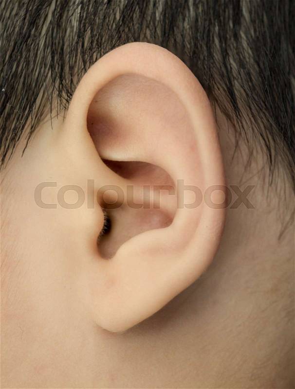 Close up of baby ear, stock photo