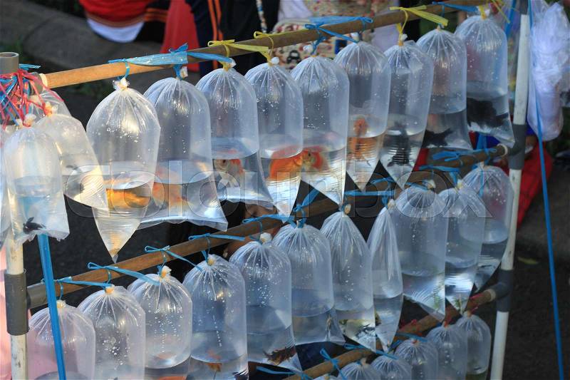 Fish in plastic bag transparent seel by street vendor in Indonesia Asia photo, stock photo