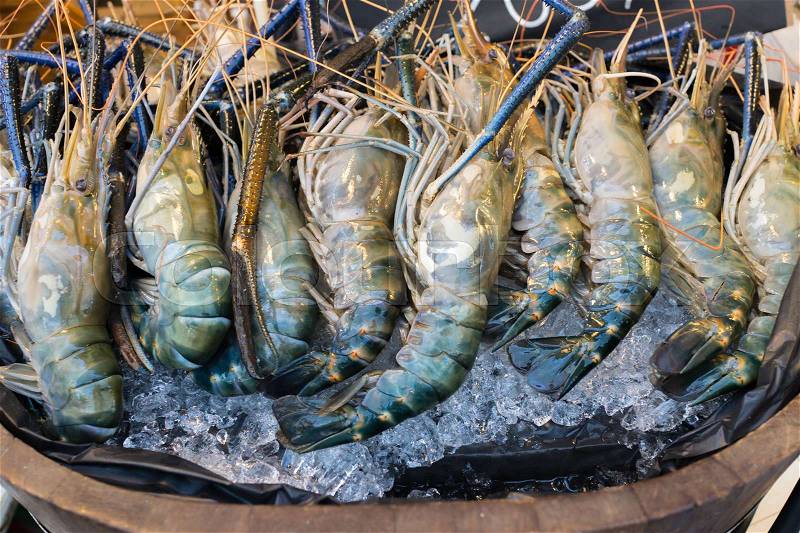 Group of fresh cold jumbo shrimps prawn on ice ready for barbecue, stock photo