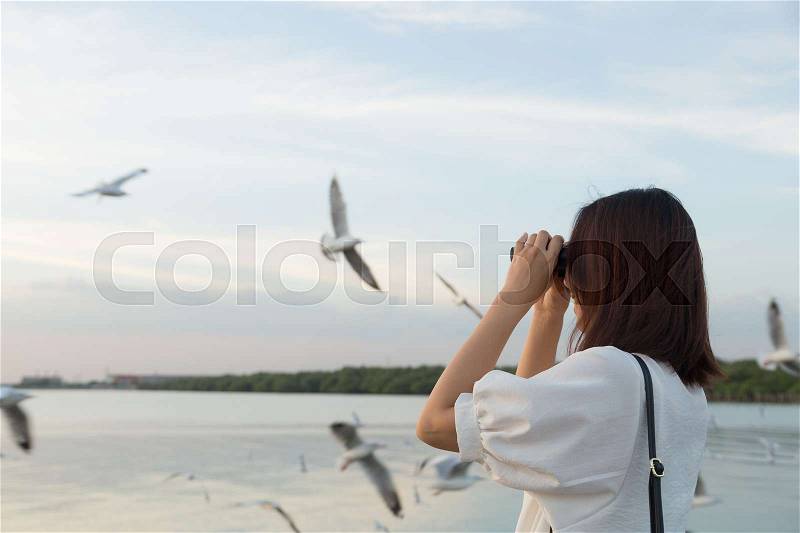 Woman watching bird watching by the sea during the evening at sunset, stock photo