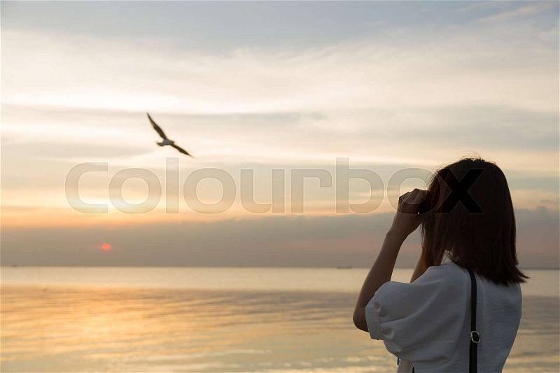 Woman watching bird watching by the sea during the evening at sunset, stock photo
