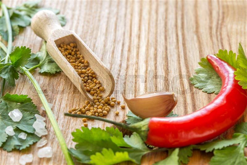 Cooking Additives. Parsley, garlic, mustard seeds and chilli, stock photo