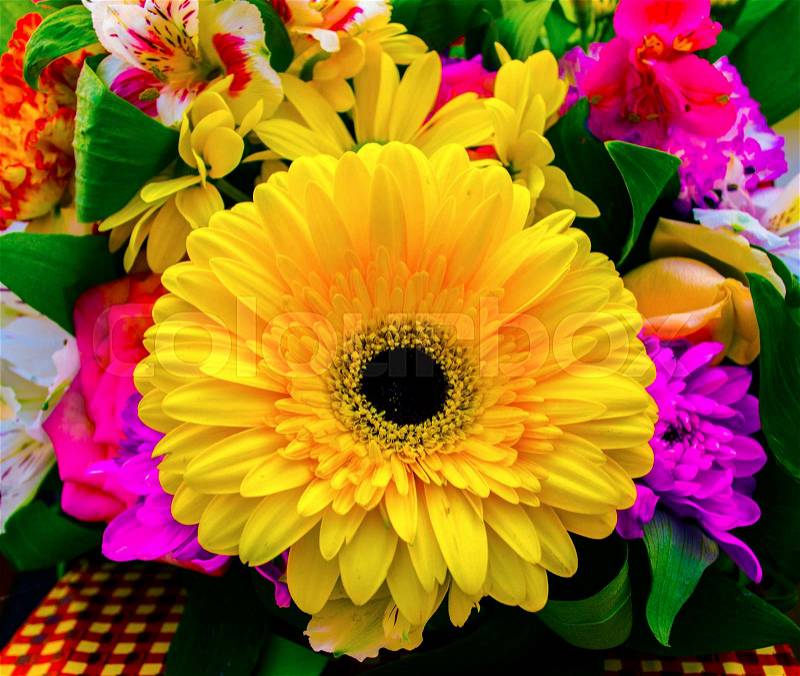 Bouquet of flowers. bouquet of flowers roses gerbera flowers carnations, stock photo