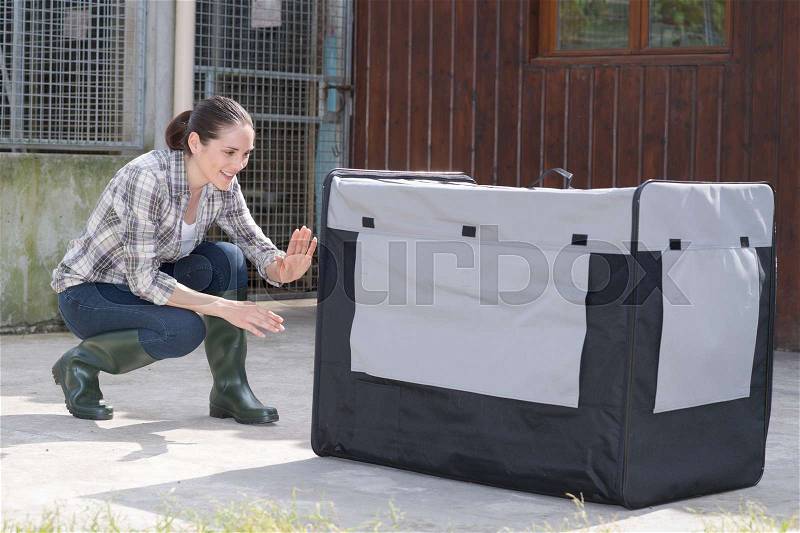 Pretty kennel vetenary checking crate for animal transportation, stock photo