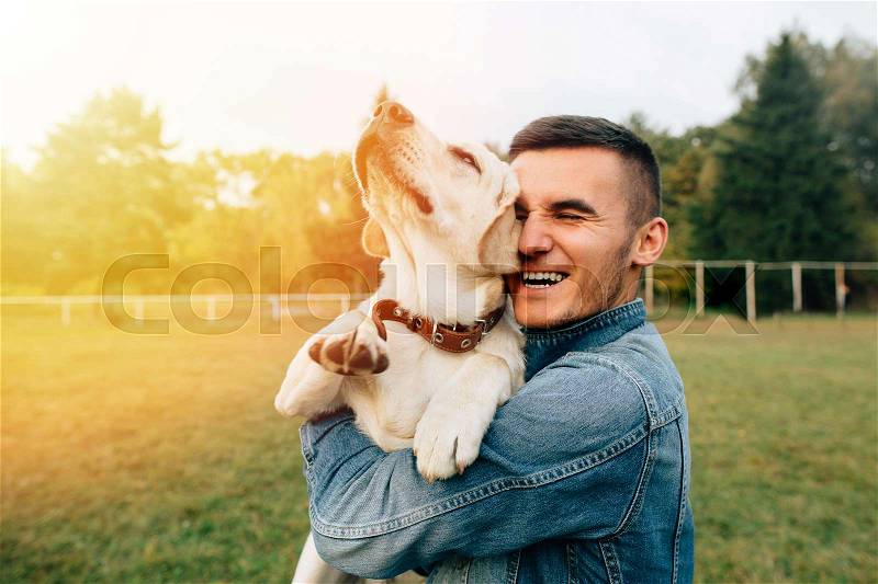Happy young man holding dog Labrador in hands at sunset outdoors, stock photo