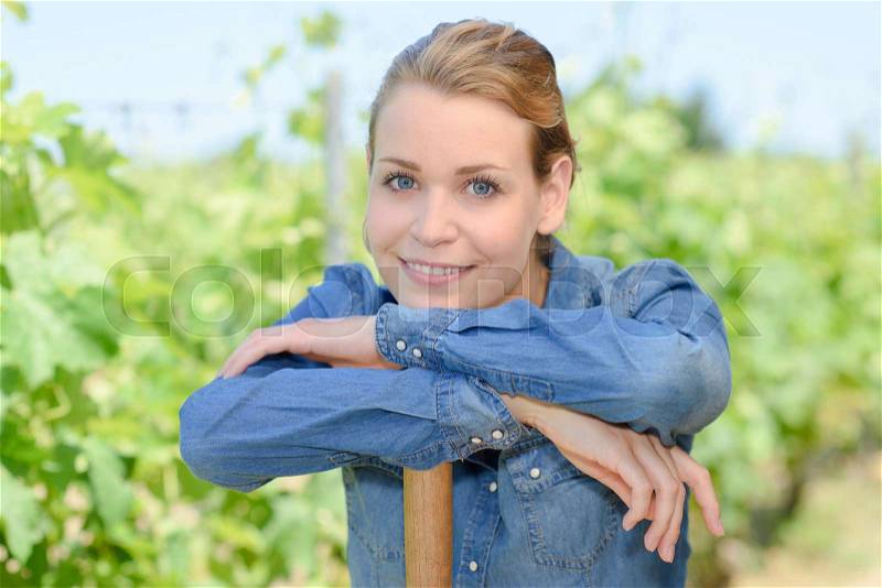 Wine grower smiling, stock photo