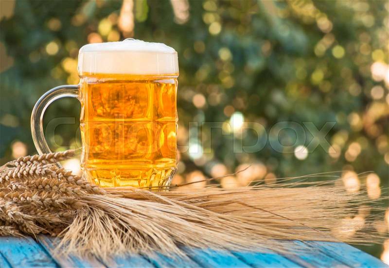 Light foamy beer in a glass and barley ears on natural background. Alcohol, stock photo