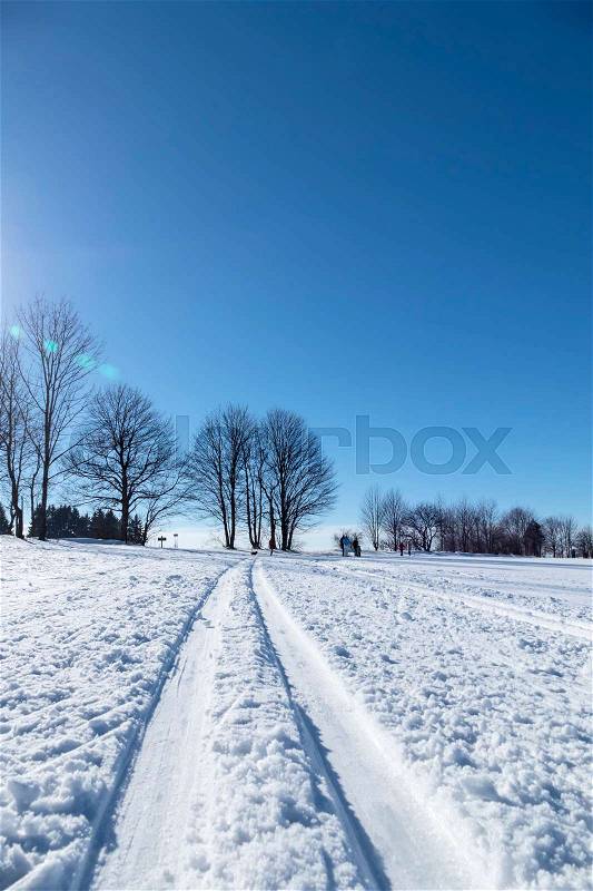 Winter sports cross-country skiing, icon sports, winter holidays, nature, stock photo