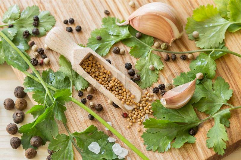 Cooking Additives. Parsley, garlic, pepper pots, mustard seeds, stock photo