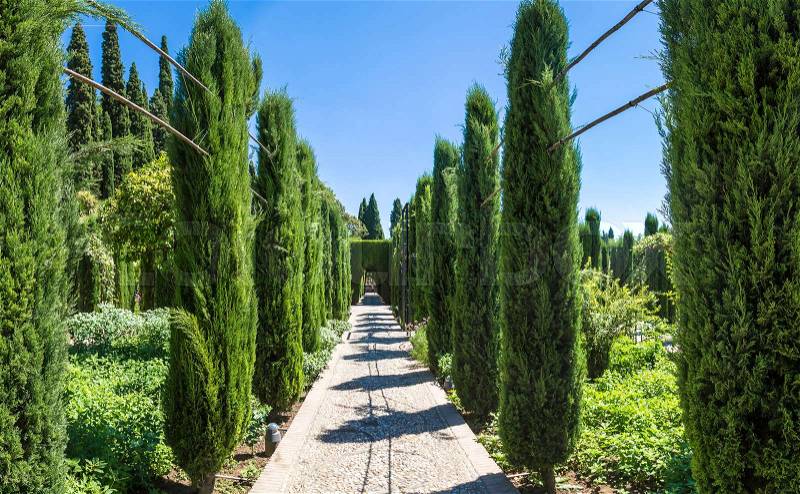 Gardens in Alhambra palace in Granada in a beautiful summer day, Spain, stock photo