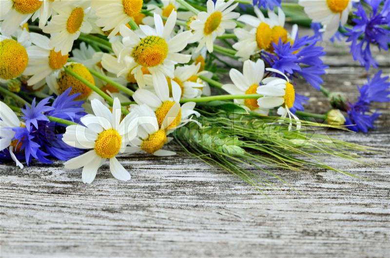 A bouquet of daisies and cornflowers on wooden table. Postcard of wild flowers, stock photo