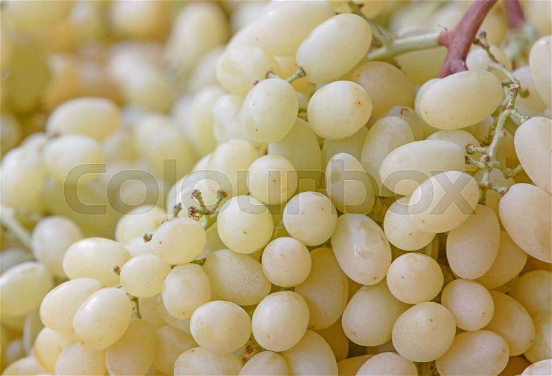 Close up of grapes on market, stock photo