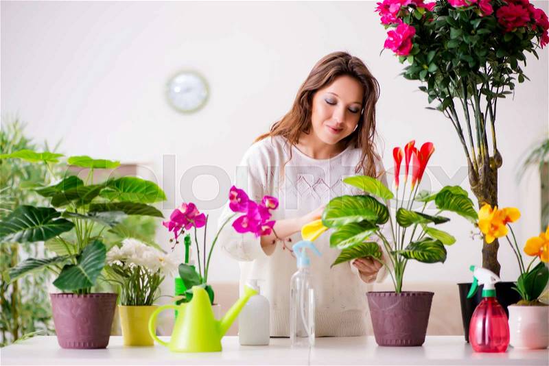 Young woman looking after plants at home, stock photo