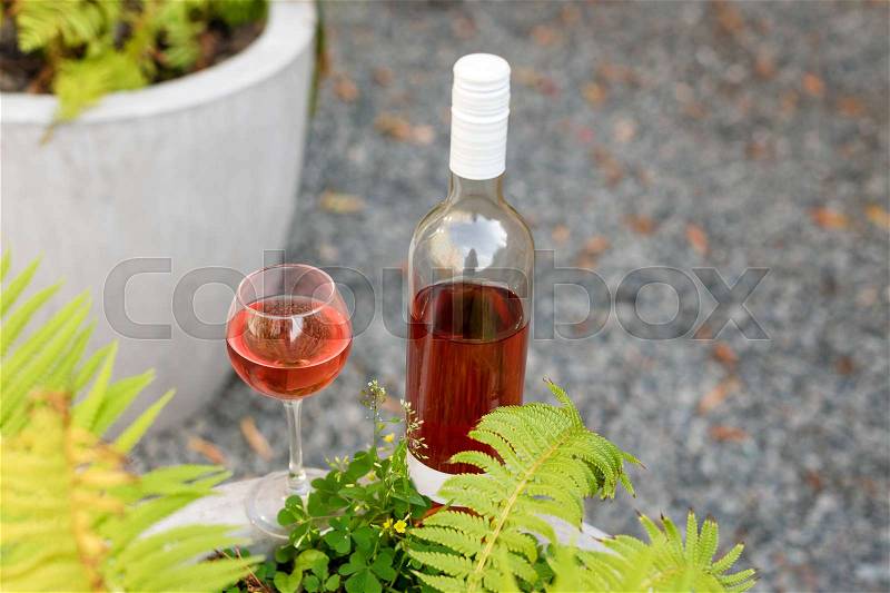 One glass and bottle of red or rose wine in vineyard. Harvest time, picnic, fest theme, stock photo