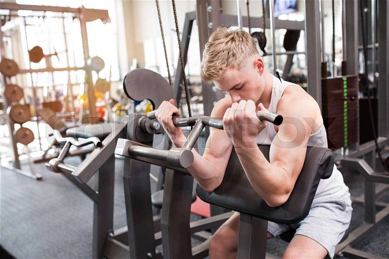 Young handsome fit man working out, using weight machine for arms. Bodybuilder doing sitting biceps curls with t-bar, stock photo
