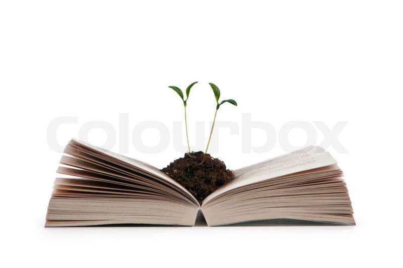 Knowledge concept with books and seedlings, stock photo
