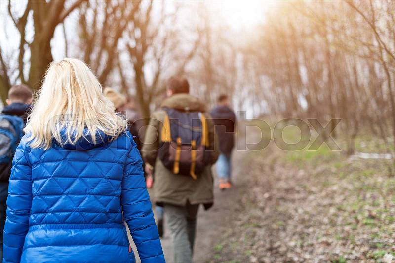 Group of friends walking with backpacks in spring forest from back. Backpackers hiking in the woods. Adventure, travel, tourism, active rest, hike and people friendship concept, stock photo