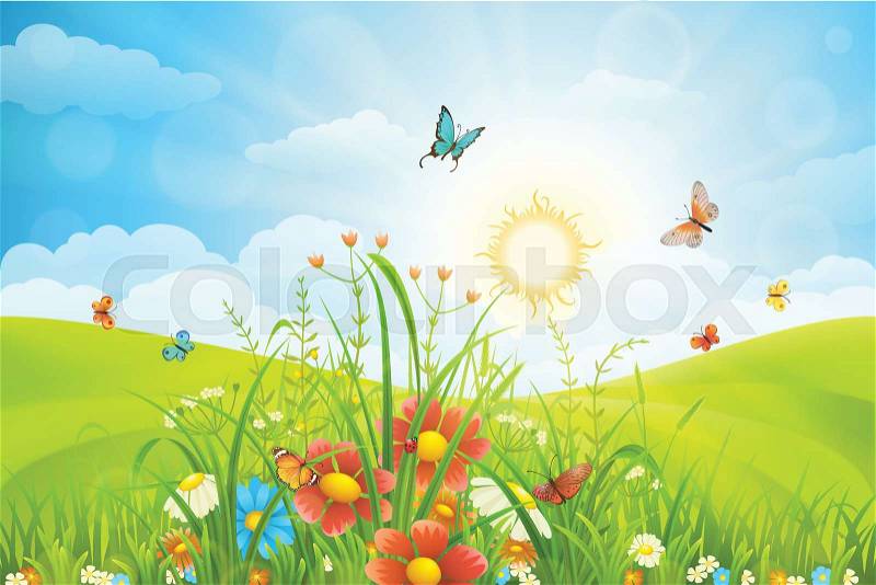Vector summer background with green grass, flowers and butterflies, vector