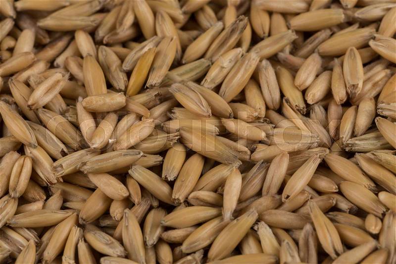 Natural oat grains for background, close up shot, stock photo