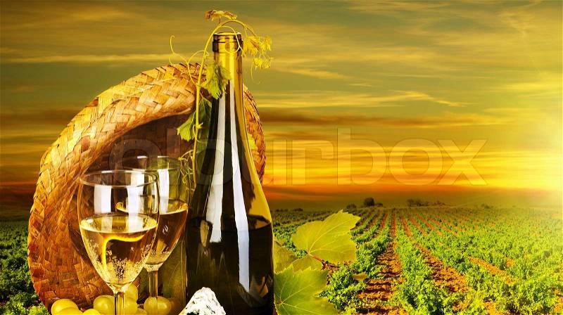 Rromantic dinner outdoor, table for two with vineyard view, fresh grapes and wineglass at restaurant, warm autumn sunset, grape field landscape at harvest, food still life, stock photo