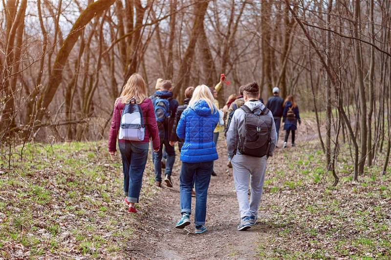 Group of friends walking with backpacks in spring forest from back. Backpackers hiking in the woods. Adventure, travel, tourism, active rest, hike and people friendship concept, stock photo