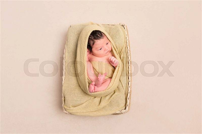 Wrapped from head to toe black-haired baby in a child\'s basket, resting with eyes opened, stock photo