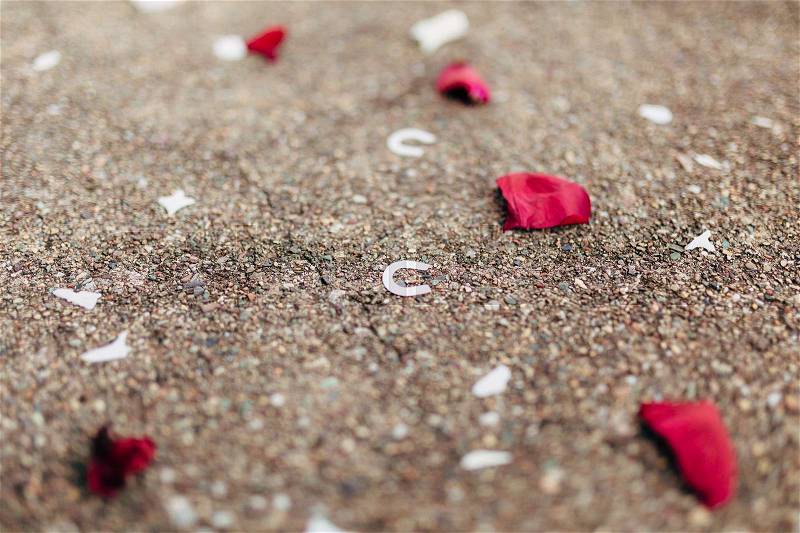 Rose petals on the floor. Wedding tradition of showering newlyweds with rose petals when they come out of the church, stock photo