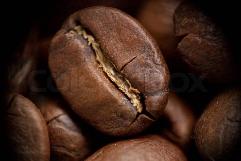 Raw coffee bean closeup macro, stock photo