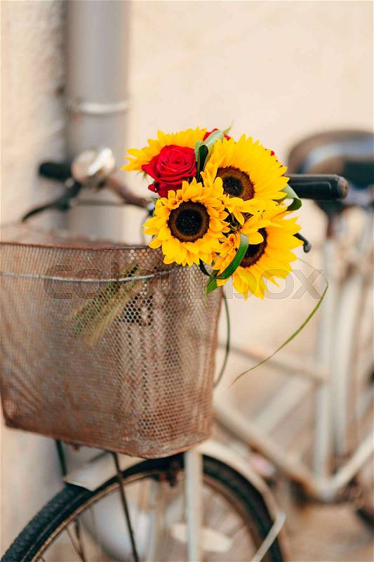 Wedding bridal bouquet of sunflowers in the basket of the bicycle. Wedding in Montenegro, Perast, stock photo