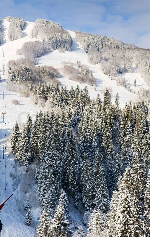 Winter calm mountain landscape with snow-covered spruce-trees and ski ropeway, stock photo