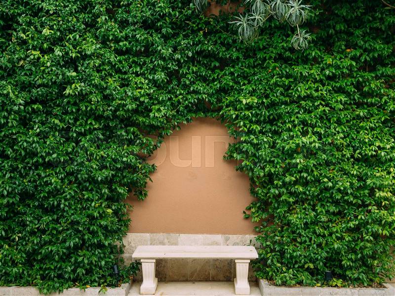 Bench in the park. Concrete bench with wooden Seats. Montenegro, stock photo
