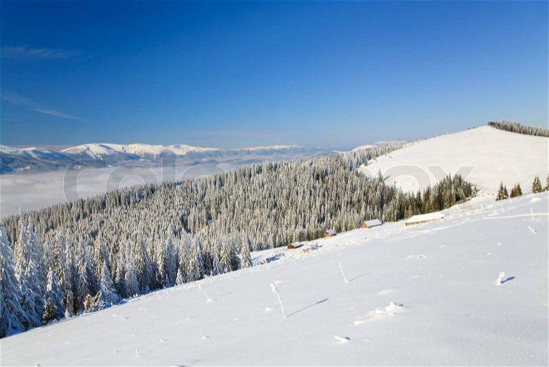 Winter calm mountain landscape with some snow covered stems on forefrontand sheds group behind, stock photo