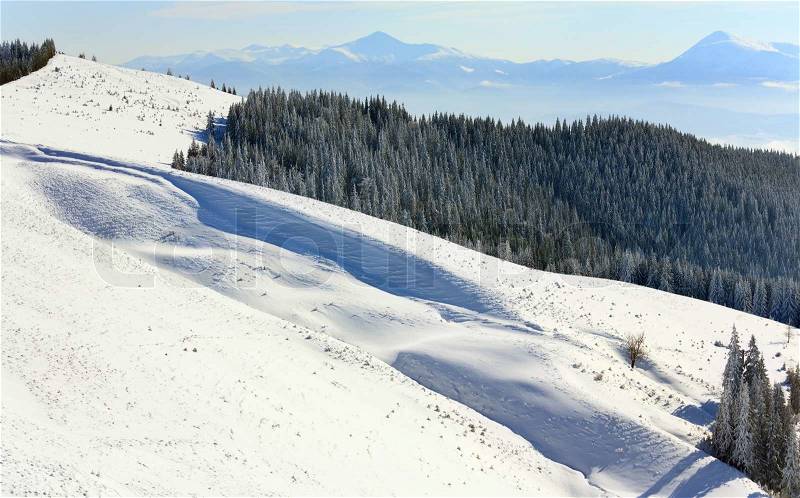 Winter calm mountain landscape (view from Bukovel ski resort (Ukraine, Dovga mount) to Goverla), stock photo