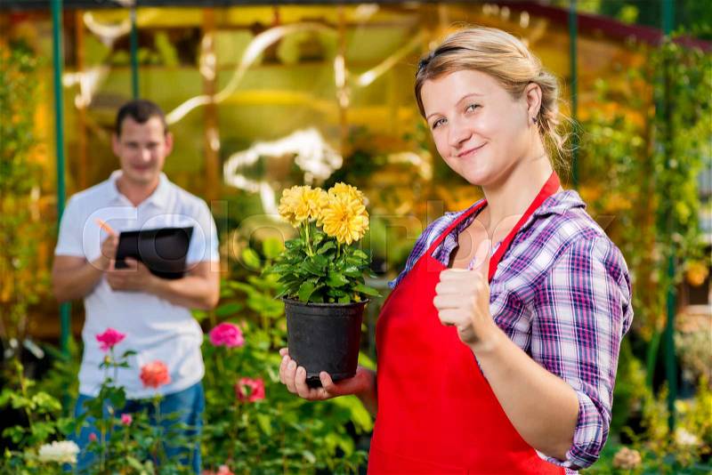 Successful gardeners florists are own business in the implementation of flowers, stock photo