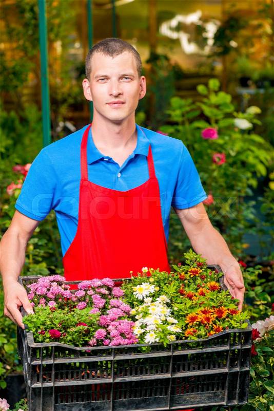 Man gardener with a box of flowers for sale in a greenhouse, stock photo