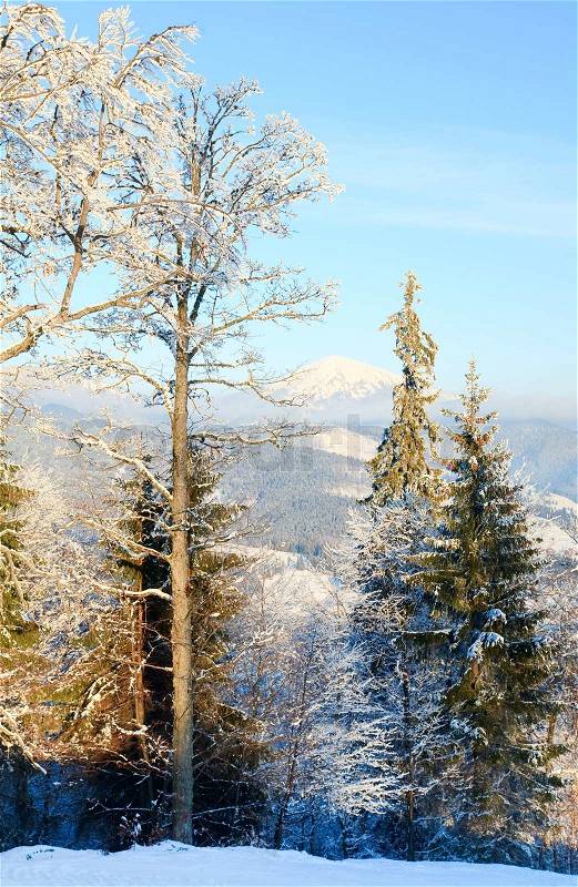 Winter calm mountain landscape with rime and snow covered trees in front, stock photo