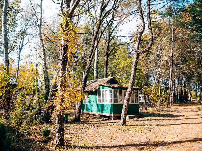 The house in the woods. Shed in a woods, stock photo