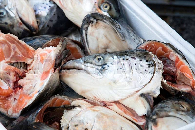 Heads of salmon fish on the market are shot close-up, stock photo