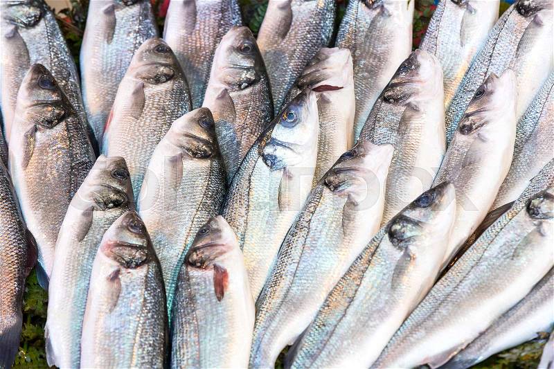 Background of sea fish close-up on the market in the port, stock photo