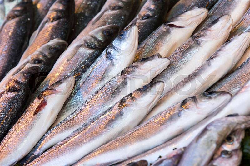 Background of sea fish close-up on the market in the port, stock photo