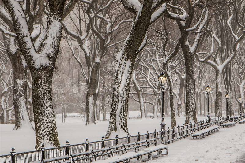 Blizzard in Central Park. Manhattan, stock photo