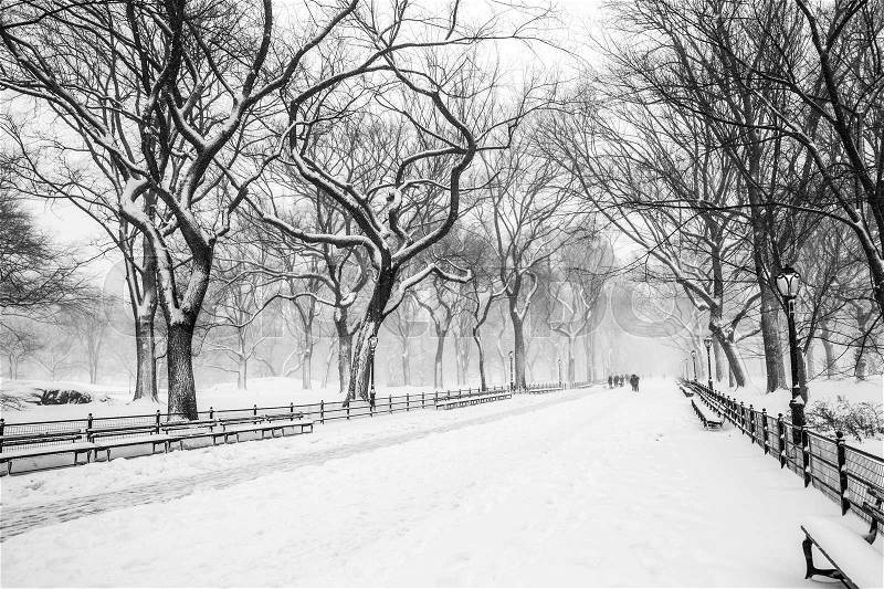 Blizzard in Central Park. Manhattan, stock photo