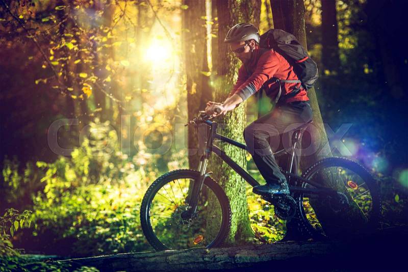 Bike Ride in the Scenic Sunny Forest. Caucasian Mountain Biker. Sports and Recreation Theme, stock photo