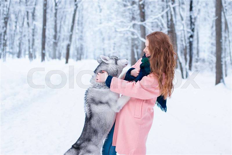 Young woman playing with siberian husky, snowy forest on background. Cute girl with playful charming dog. Female person funs with domestic animal, stock photo